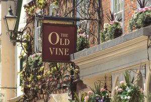 The Old Vine