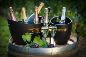 Hattingley Valley_Bottles & fizz in Vineyard_© The Electric Eye Photography