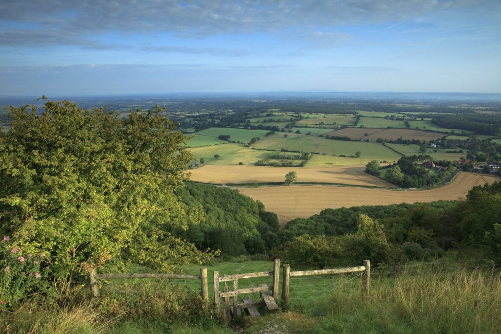 Image of the South Downs