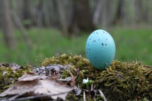 A blue easter egg sat on the ground