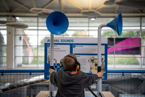 A child playing with sound tubes