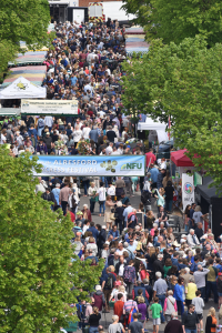 Photo from above of street holding Watercress Festival