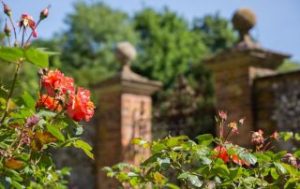 Photo of Chawton Walled garden and roses