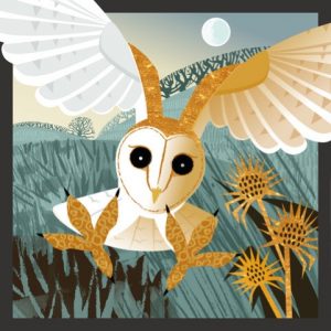 illustration of a Barn Owl